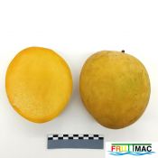 624imageIMG 20230811 110604 (2).jpg