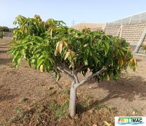 69imageIMG 20240717 092048(1).jpg