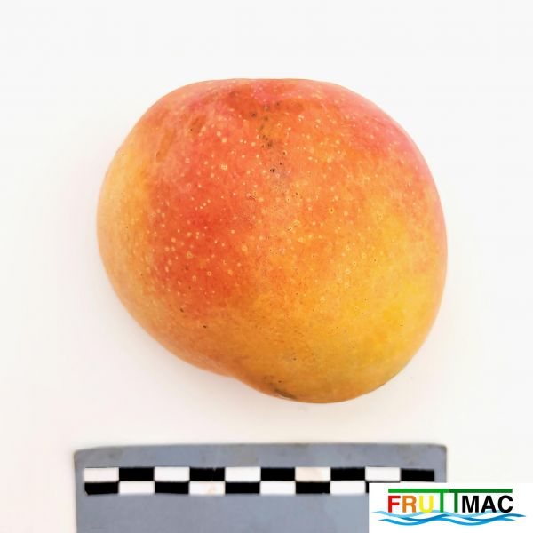 Archivo:877imageIMG 20230704 115852.jpg