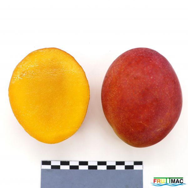 Archivo:440imageIMG 2105(2).JPG