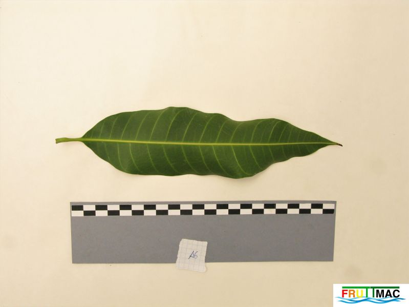 Archivo:60imageIMG 0868 (2).JPG