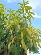 54imageIMG 20240605 094834.jpg