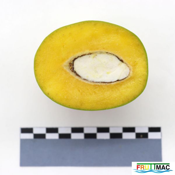 Archivo:624imageIMG 2293.JPG