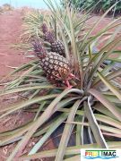 934imageIMG 20240605 123455.jpg