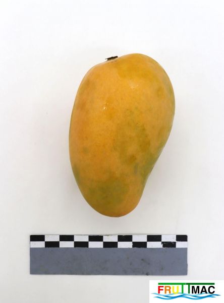 Archivo:1050imageIMG 9235.jpg