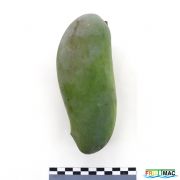 619imageIMG 2250.JPG