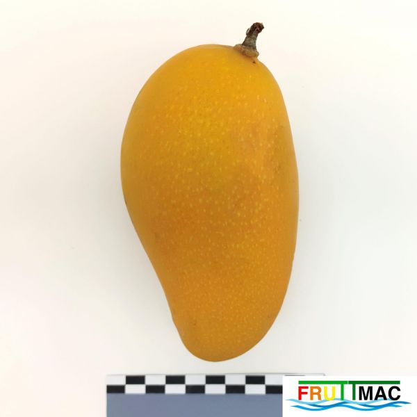 Archivo:625imageIMG 20230807 114450 (2).jpg