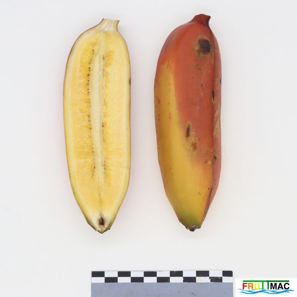 Archivo:1021imageIMG 8580.111.JPG