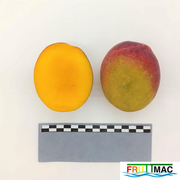 Archivo:105imageIMG 20230801 120400 (2).jpg