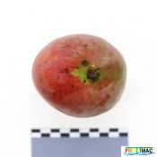 56imageIMG 3203.JPG