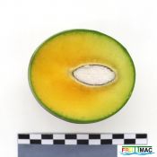 102imageIMG 4455.JPG