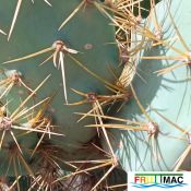 485imageIMG 20241218 124547.3.jpg