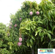 78imageharders P1040578 (2).jpg