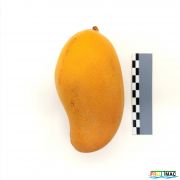 622imageIMG 20230807 122855 (2).jpg