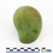 115imageIMG 4340.JPG