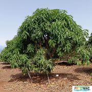 625imageIMG 20240716 114736(1).jpg