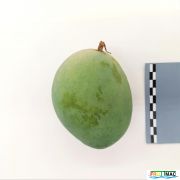 633imageIMG 20230803 140551 (2).jpg