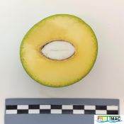 625imageIMG 20230803 143359 (3).jpg