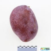 62imageIMG 3219.JPG