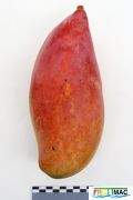 53imageIMG 3686.JPG