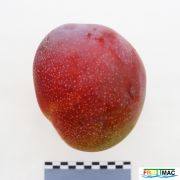 632imageIMG 2607.JPG