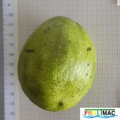 675imageSB.ES002 FRUTO (2)min.jpg