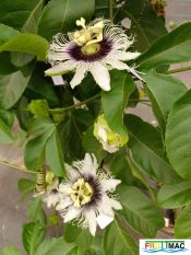 895imageIMG 20240819 164143.jpg