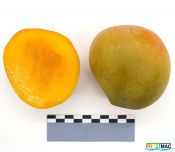 56imageIMG 3773.1.JPG
