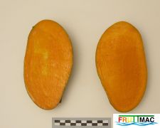 620imageIMG 4768.jpg