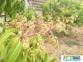 57imageIMG 19700105 154059.jpg