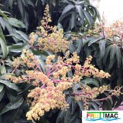 624imageIMG 3968.JPG