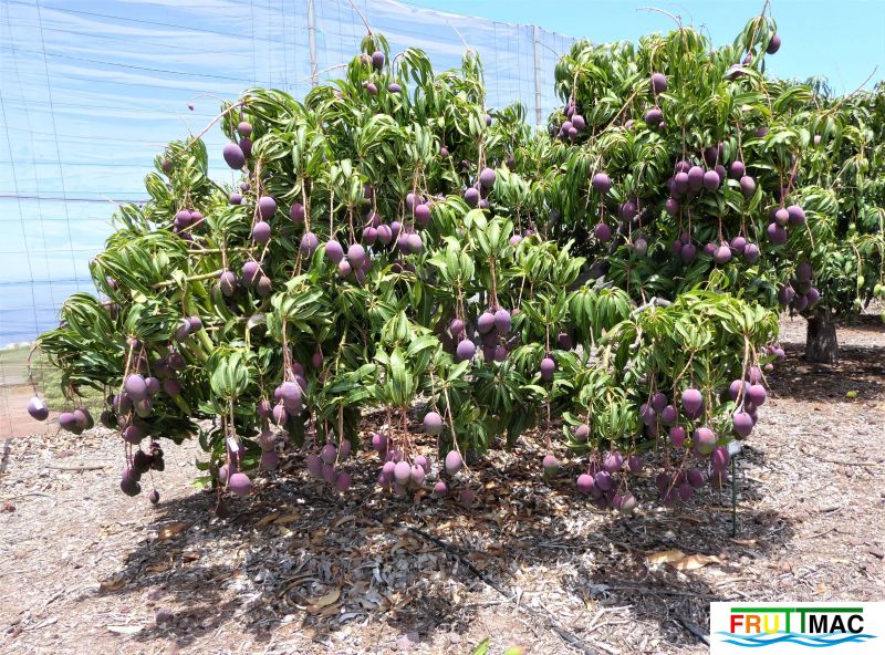 Archivo:440imageP1040228 (3).jpg