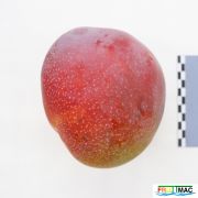 632imageIMG 2612.JPG