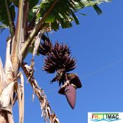 1021imageIMG 20250321 112834.111.jpg