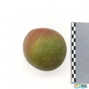 126imageIMG 20230725 123906(3).jpg