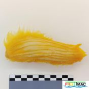 625imageIMG 20230807 115148 (2).jpg