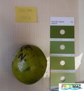 726imageSB.DA002 FRUTO.jpg