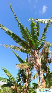 1021imageIMG 20250321 112851.111.jpg