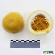 895imageIMG 5741.JPG