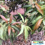 630imageIMG 3916.JPG