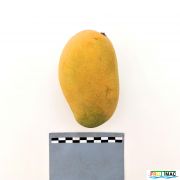 93imageIMG 20230704 112703.jpg