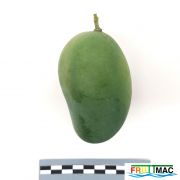 621imageIMG 20230803 141847 (2).jpg