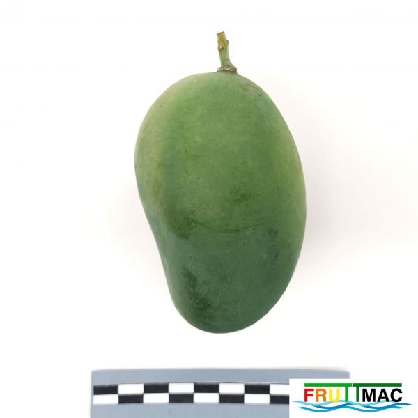 Archivo:621imageIMG 20230803 141847 (2).jpg