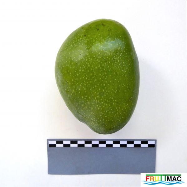 Archivo:60imageP1250707 (2).JPG