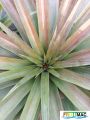 898imageIMG 20231228 100106.jpg