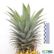 937imageIMG 5767.JPG
