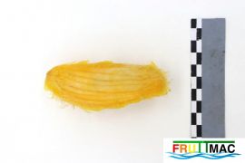 625imagepo pyu hueso MG 9280.JPG