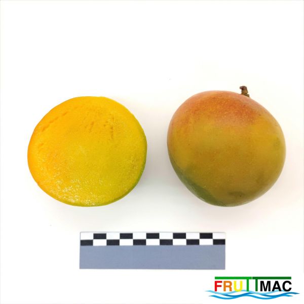 Archivo:627imageIMG 20230807 112729 (2).jpg