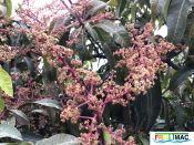 632imageIMG 3903.JPG