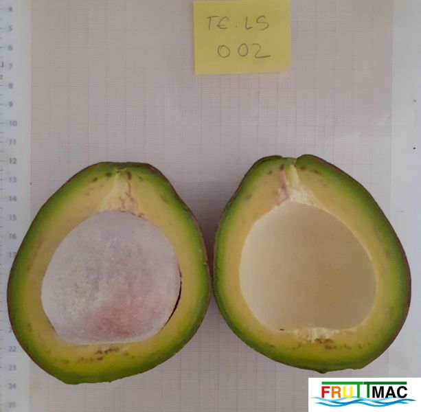Archivo:860imageTE.LS002 FRUTO PARTIDO.jpg